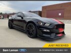 Thumbnail Photo 39 for 2019 Ford Mustang